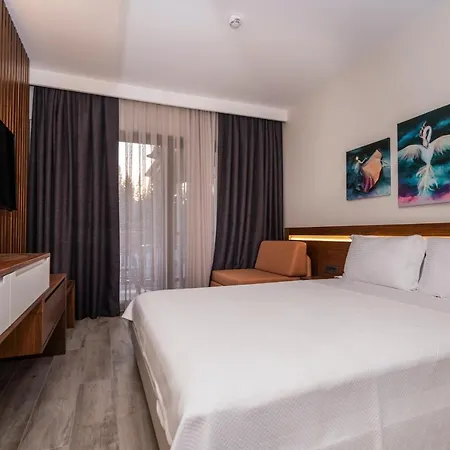 Akyaka Viya Otel Hotel Akyaka (Mugla)