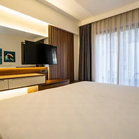 Akyaka Viya Otel 아키아카