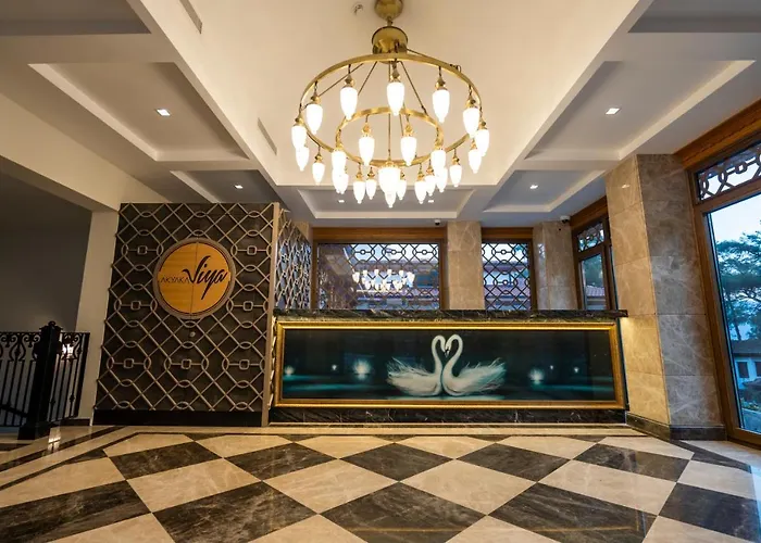 Отель Akyaka Viya Otel *