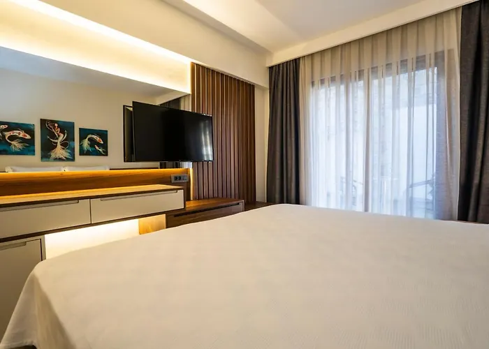 Akyaka Viya Otel Акьяка