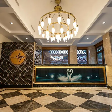 Hotel Akyaka Viya Otel *