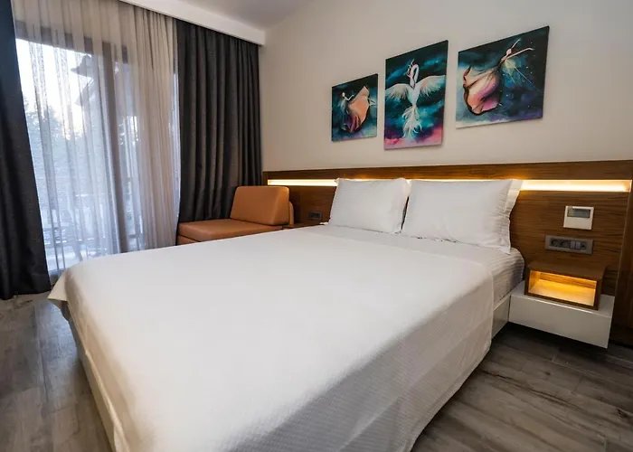 Hotel Akyaka Viya Otel *